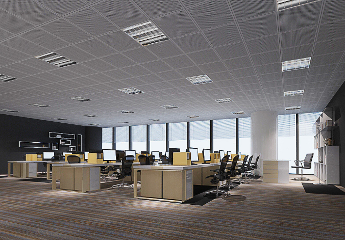 上海辦公室裝修設(shè)計(jì)：銅錢草，如何巧妙融入空間美學(xué)？